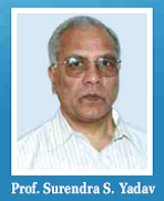 iitd(1).png