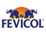 fev.jpg