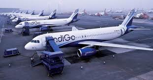 indigo.jpg