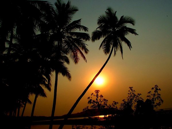 08sld-goa.jpg