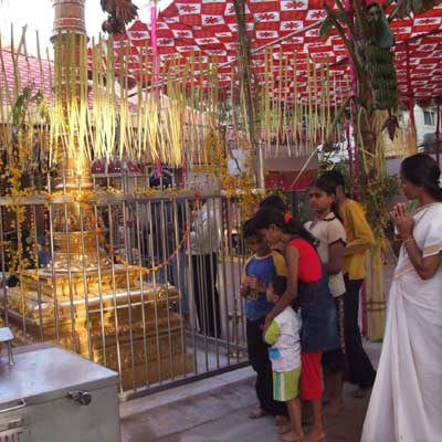 227460-vishu.jpg