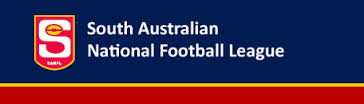 sanfl.jpg